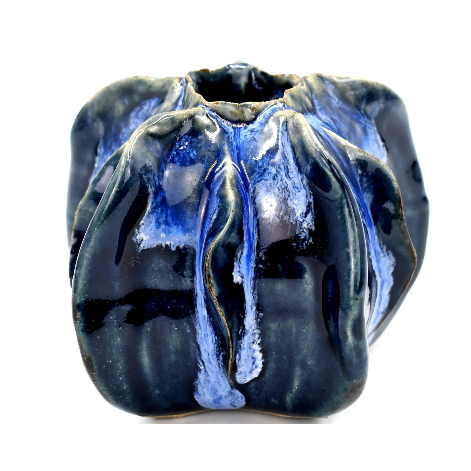 Vase en luffa