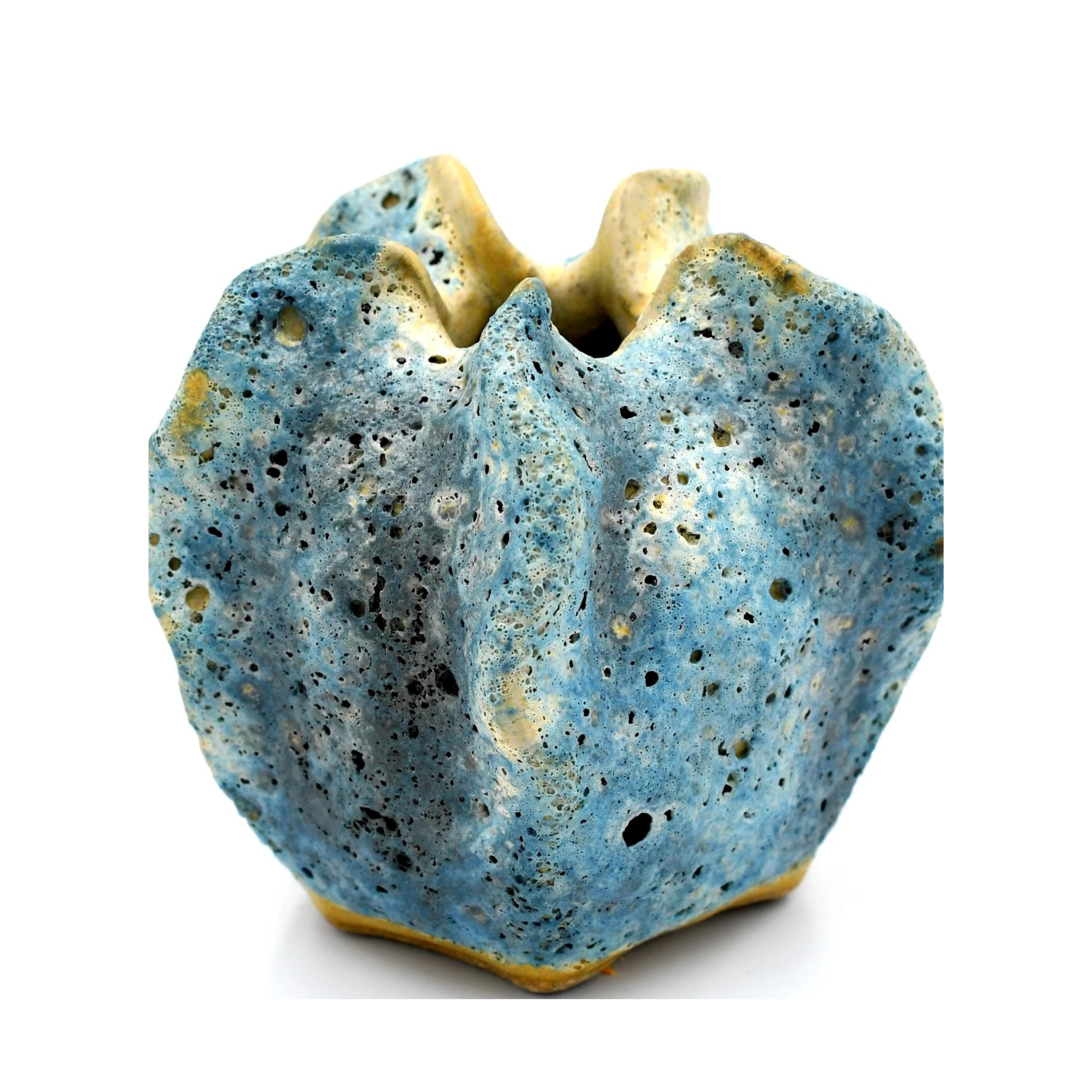 Vase en luffa